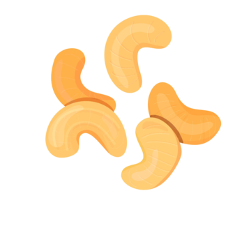 Cashew Nut